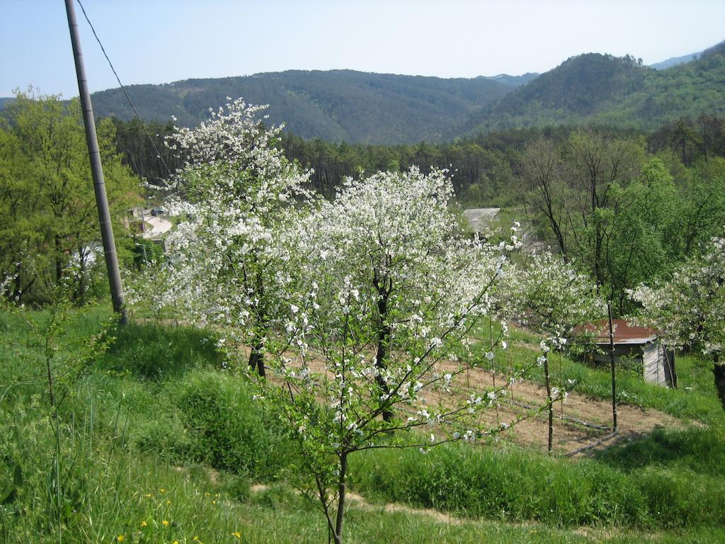 Agriturismo Casalino Beverino Kültér fotó